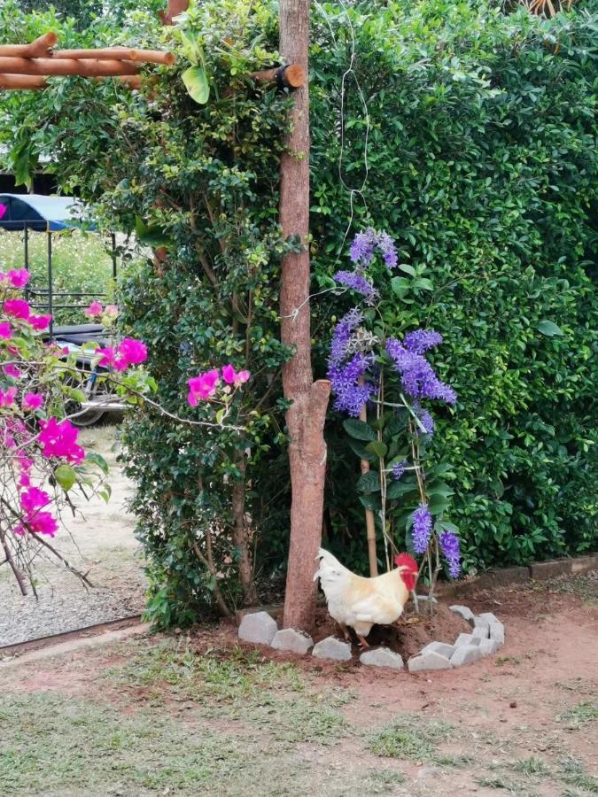 Krabilife Resort Ban Ko Kwang Dış mekan fotoğraf