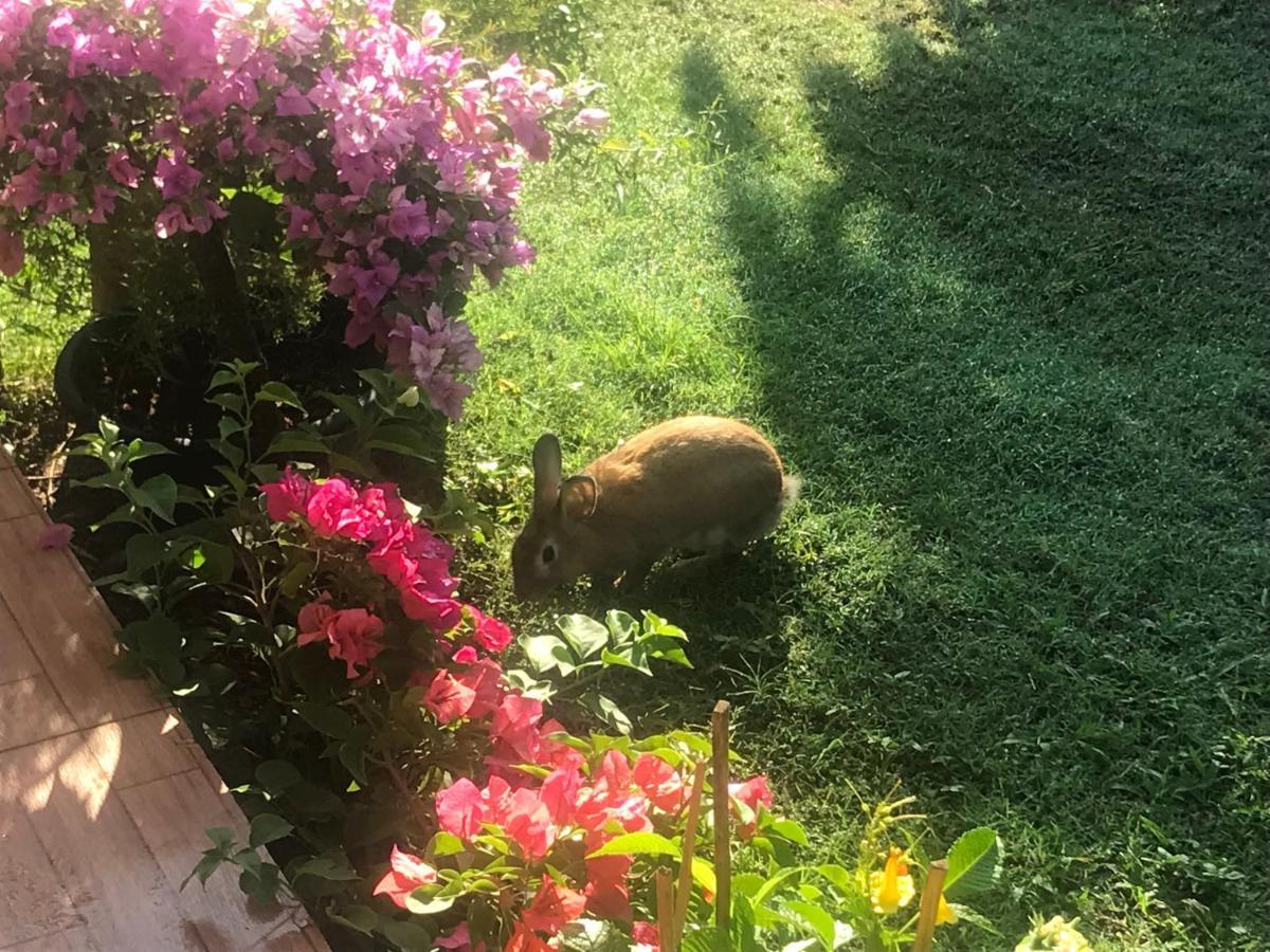 Krabilife Resort Ban Ko Kwang Dış mekan fotoğraf