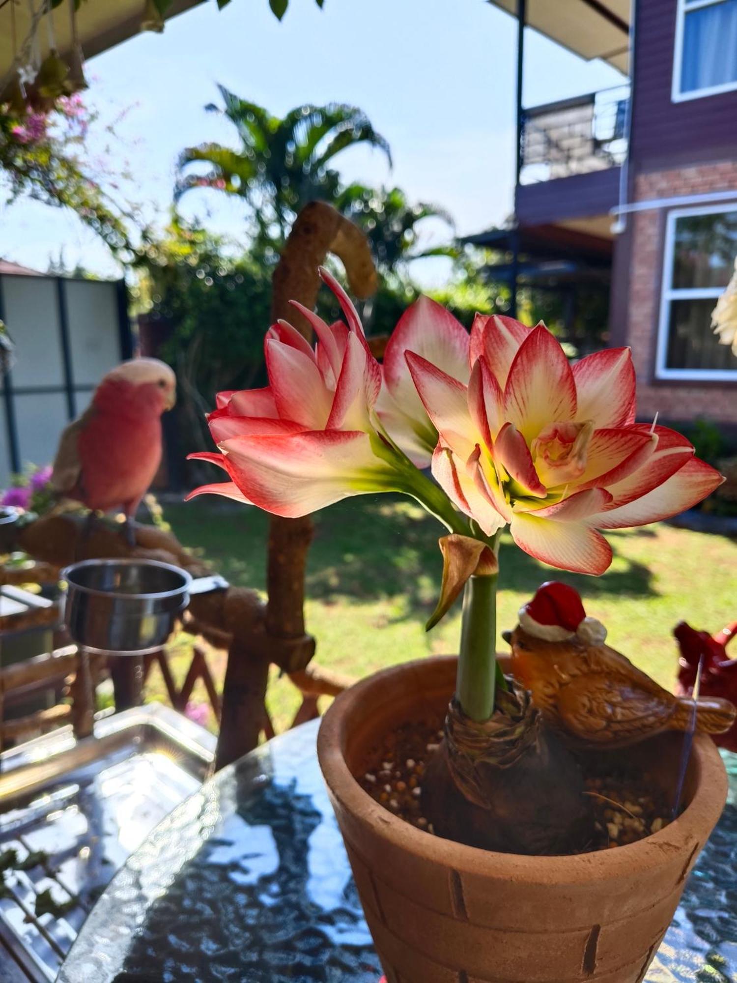 Krabilife Resort Ban Ko Kwang Dış mekan fotoğraf